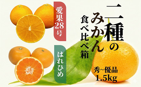 【早期予約受付中！2026年12月より順次発送】二種のみかん食べ比べ箱 【愛果 28 号・はれひめ】 約 1.5kg 秀~優品 みかん 先行予約 蜜柑 柑橘 果物 くだもの フルーツ お取り寄せ グルメ 期間限定 数量限定 人気 おすすめ 愛媛県 松山市 【PT042】
