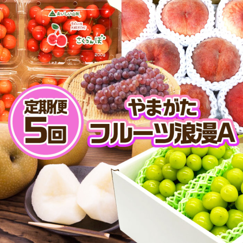 【定期便5回】やまがた フルーツ浪漫A 佐藤錦・デラウエア・白桃・和梨・シャインマスカット FZ23-031
