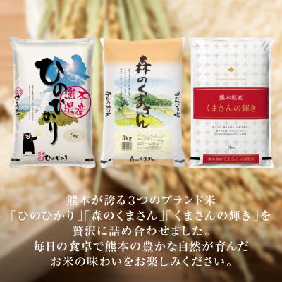 ふるさと納税 八代市 【令和7年産】 熊本県産 食べ比べセット 合計15kg (5kg×3袋)_132-6719 |  | 03