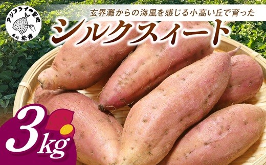 
                  【長崎県松浦市産】畑の宝石 さつまいも(シルクスイート) 3kg ( さつまいも シルクスイート 長崎県松浦市産 長崎県産 )【A7-081】
                