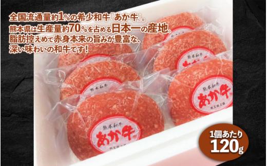 熊本和牛 あか牛 100% ハンバーグ 【3個】 牛肉 和牛 ハンバーグ あか牛 冷凍 小分け 惣菜 おかず お取り寄せグルメ 熊本県 水上村