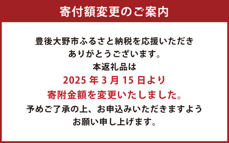 041-1066-2 かんざし＆とんぼ玉 セット（遥）ガラス 硝子 簪 髪飾り