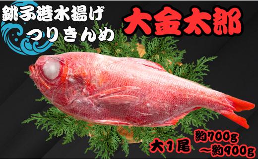 金目鯛 キンメダイ 1尾 約700g ~ 900g 銚子つりきんめ 大金太郎 銚子キンメ きんめだい 大きい金目鯛 銚子釣り金目 金目鯛 銚子 新鮮 銚子港水揚げ 瞬間冷凍 つりきんめ キンメ 釣り きんめ キンメダイ きんめだい おさしみ 刺し身 煮つけ アクアパッツァ お取り寄せ グルメ 贈り物 お祝 敬老の日 千葉県 銚子市 カネ八商店
