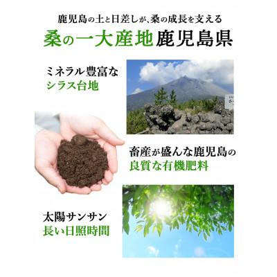 ふるさと納税 姶良市 さつま桑青汁200gセット |  | 03