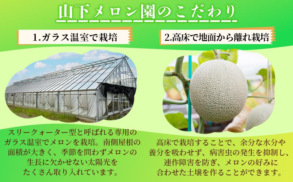 静岡温室メロン 約1.4kg　×　２玉　最高級のマスクメロン　山下メロン園