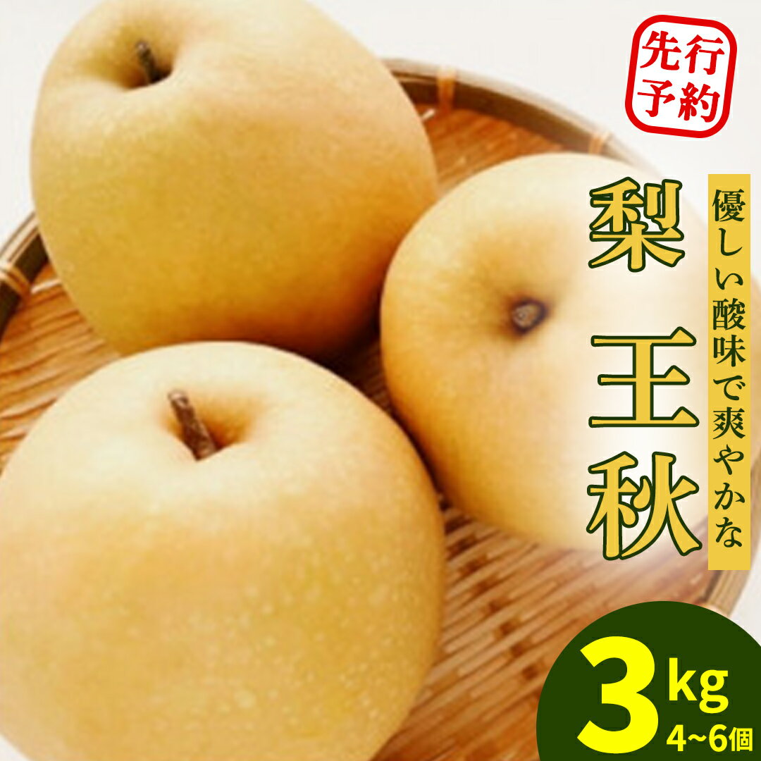 【ふるさと納税】王秋 約3kg 4～6個 梨 茨城県オリジナルブランド品種 先行予約 2026年発送 完熟 フルーツ 果物 産地直送 糖度 高い 梨 茨城 人気