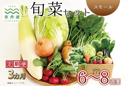【3回定期便】 京丹波 旬菜セット スモール 6～8品目【 野菜定期便 】