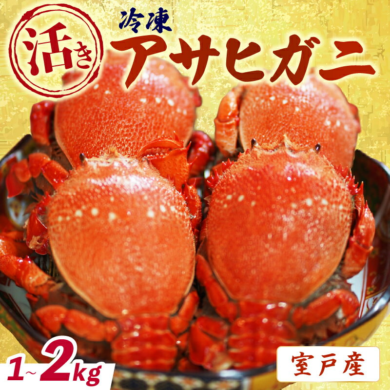 【ふるさと納税】 活 冷凍 アサヒガニ 1～2kg 朝日蟹 蟹 かに カニ ガニ がに 生 姿 冷凍 セット 詰め合わせ パスタ 味噌汁 焼ガニ 魚介類 海鮮 海の幸 産地直送 産直 旬 晩御飯 夕食 おかず 酒の肴 おつまみ 贅沢 自宅用 家庭用 お取り寄せ 美阿丸 高知県 室戸市