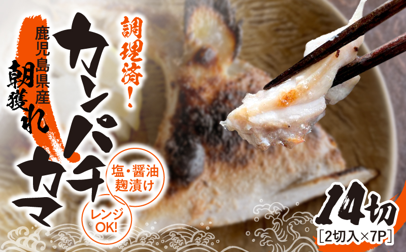 調理済み！カンパチカマ塩・醤油麹（こうじ）漬け 14切（焼タイプ）　KN037-002-05