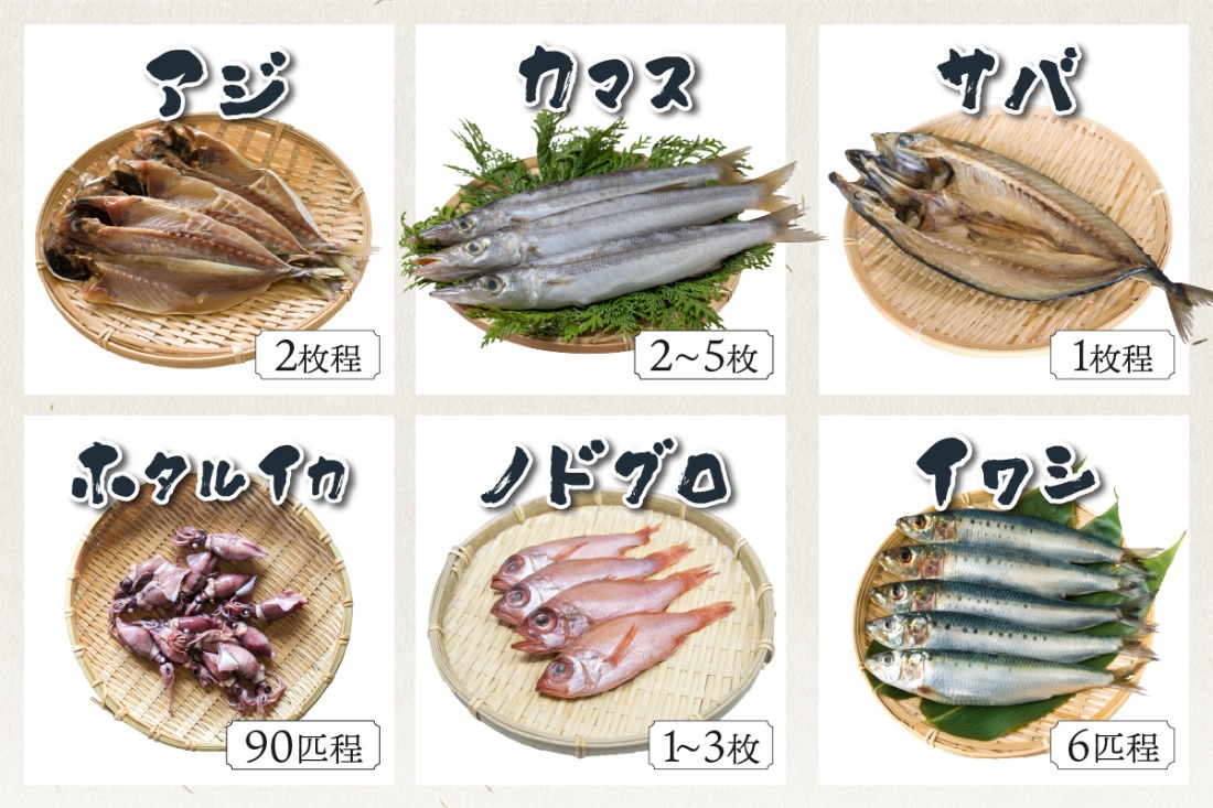 京丹後の地元魚屋が作ったお任せ干物セット（冷凍） TB00024