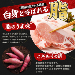特製黒豚ハンバーグ120g×10個(岡村商店/A-258) 鹿児島黒豚 黒豚ハンバーグ 黒豚でつくったハンバーグ