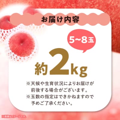 桃 約2kg (5玉~8玉) 厳選 ! 池田青果の もも【配送不可地域：離島・沖縄県】