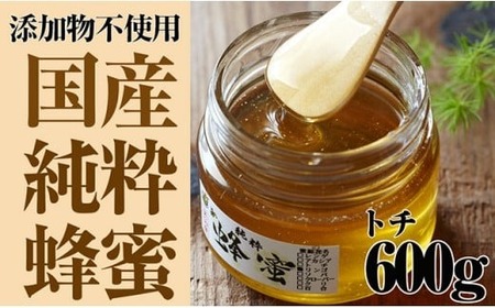 【はちみつ】国産純粋蜂蜜【トチ】600g 瓶入り 蜂蜜 はちみつ