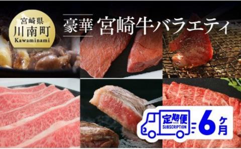 【定期便】 肉質等級4等級以上 豪華！ 宮崎牛 バラエティ6ヶ月コース【4大会連続日本一 肉 牛肉 国産 黒毛和牛 4等級 5等級 定期便 全6回 スライス 焼肉 ステーキ】