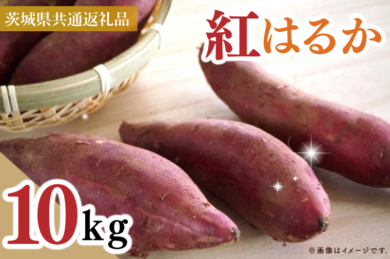 【茨城県共通返礼品】【2025年10月中旬より発送】さつまいも　紅はるか　Mサイズ　10kg（5kg×2箱）（水戸市・ひたちなか市・鹿嶋市・行方市・大洗町産）【さつまいも サツマイモ 芋 腸活 焼芋 やきいも 焼きいも やき芋 高糖度 阿見町 茨城県】（88-06）