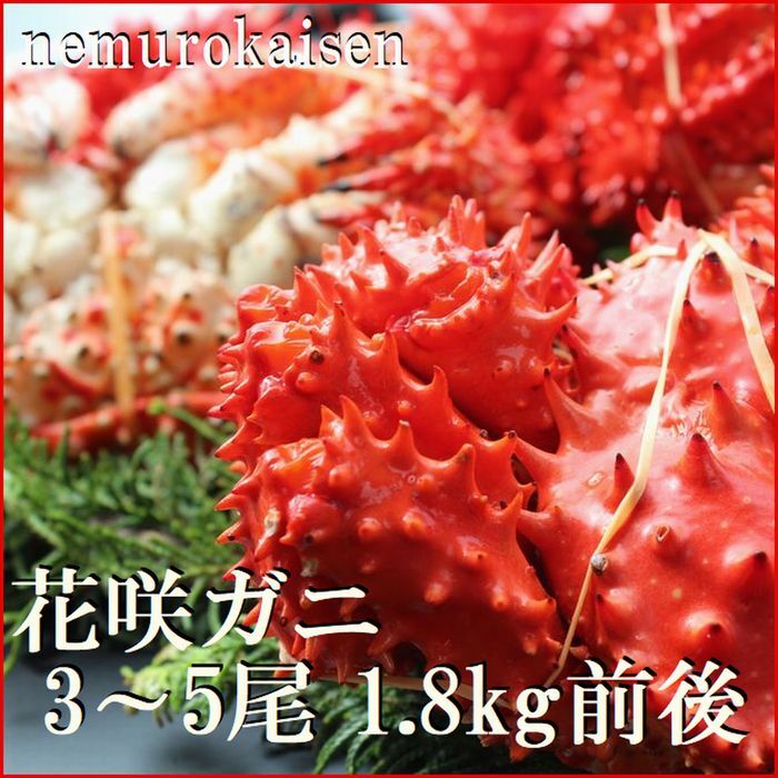 【ふるさと納税】[北海道根室産]茹でたて花咲ガニ3～5尾 計1.8kg前後(チルド便) B-57032