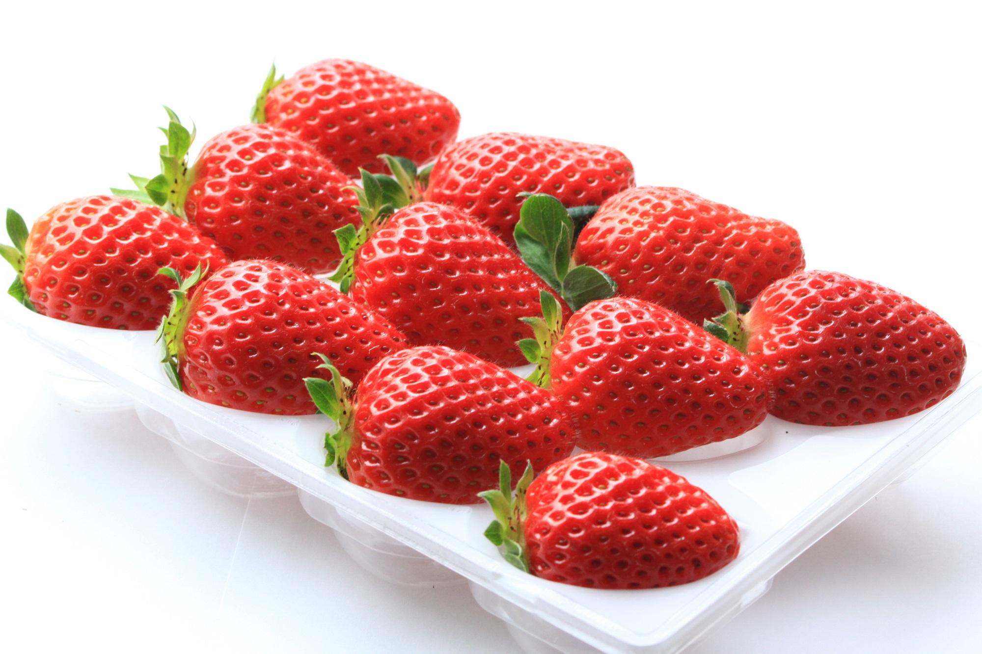 ［先行予約］いちご（まりひめ）ゆりかーご包装  ［2026年1月上旬から3月中旬にお届け］tagfam003A