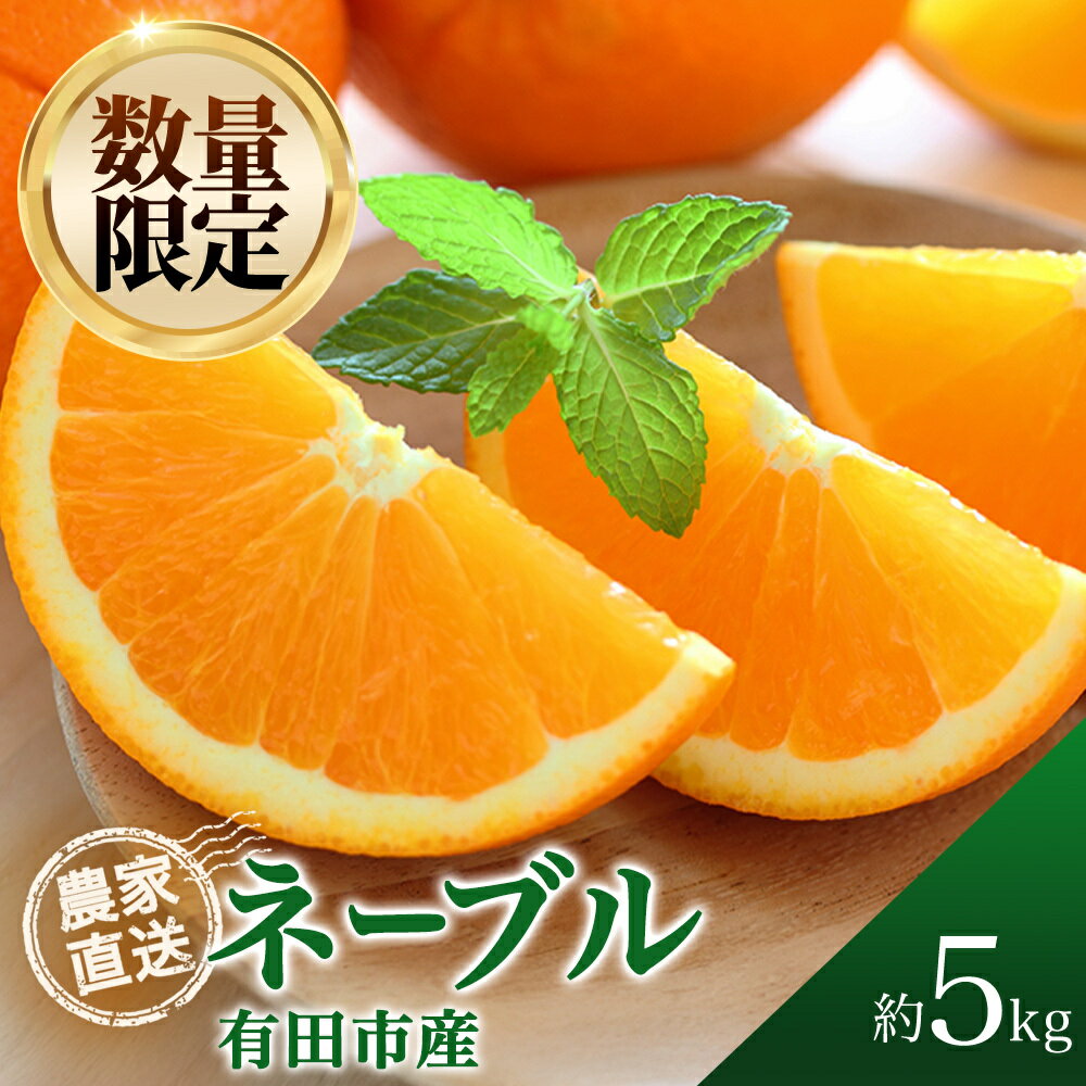【ふるさと納税】ネーブル オレンジ 5kg 濃厚 柑橘 フルーツ 果物 くだもの みかん 人気 おすすめ 送料無料 国産 和歌山 有田市【2026年2月中旬から順次お届け】（A360-1）