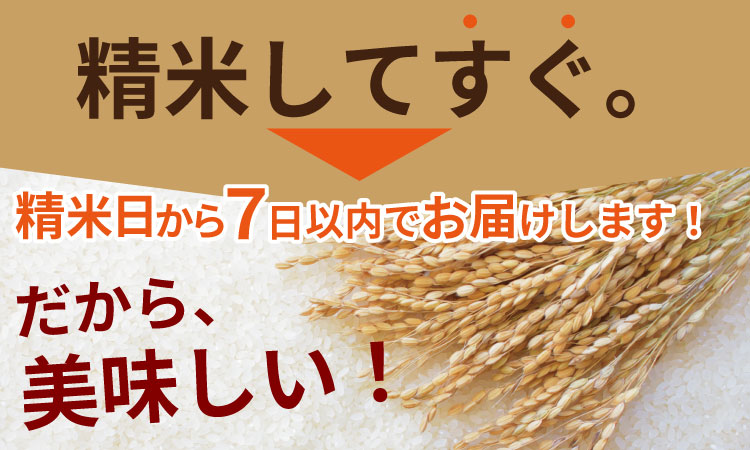 ご飯ソムリエ厳選！夢しずく5kg（肥前糧食）  一等米 精米 白米 ブランド米 お米 白飯 人気 ランキング 高評価