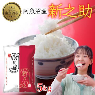 ふるさと納税 南魚沼市 【令和7年産】南魚沼産 新之助5kg 新潟県南魚沼市