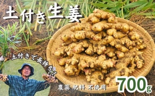 
                  こだわり 農法 生姜 土付き 700g 高知県 黒潮町 産 自然 新鮮 しょうが 野菜 やさい 調味料 やくみ 薬味 ジンジャーエール ふるさと納税 人気 ふるさと納税生姜 ふるさと納税薬味 高知 [1390-2]
                