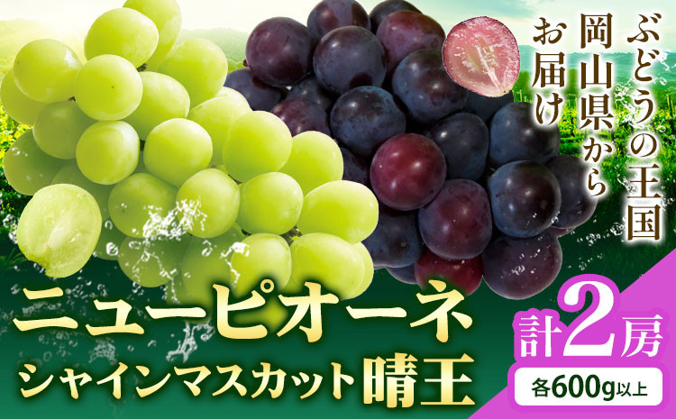 
                  【2026年先行予約】シャインマスカット【晴王】 & ニューピオーネ 600g以上(各1房)  株式会社Myself《2026年9月上旬-10月下旬頃出荷》マスカット 送料無料 岡山県 浅口市 ぶどう フルーツ 果物 贈り物 ギフト
                