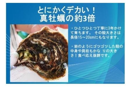 牡蠣 カキ 岩ガキ 岩がき 岩牡蠣 岩カキ 海のミルク 濃厚 クリーミー 夏バテ防止 5kg  焼き 蒸し 加熱 (1247)