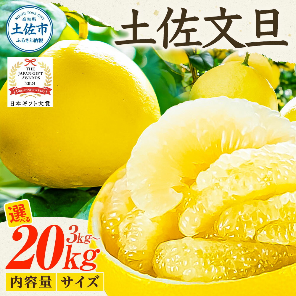 園主こだわりの土佐文旦 選べる内容量 3kg～ 小玉（L～Mサイズ） ぶんたん ブンタン 柑橘 みかん フルーツ 果物 家庭用 美味しい お取り寄せ 土佐 高知 やの一果彩 ふるさとのうぜい ふるさと納税 春 旬 故郷納税 高知県 5000円～ 土佐市