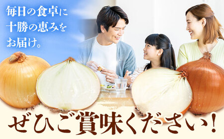 玉ねぎ 10kg パワーウルフ 山下農場《9月中旬-10月末頃出荷》 北海道 本別町 たまねぎ タマネギ 万能 北海道産