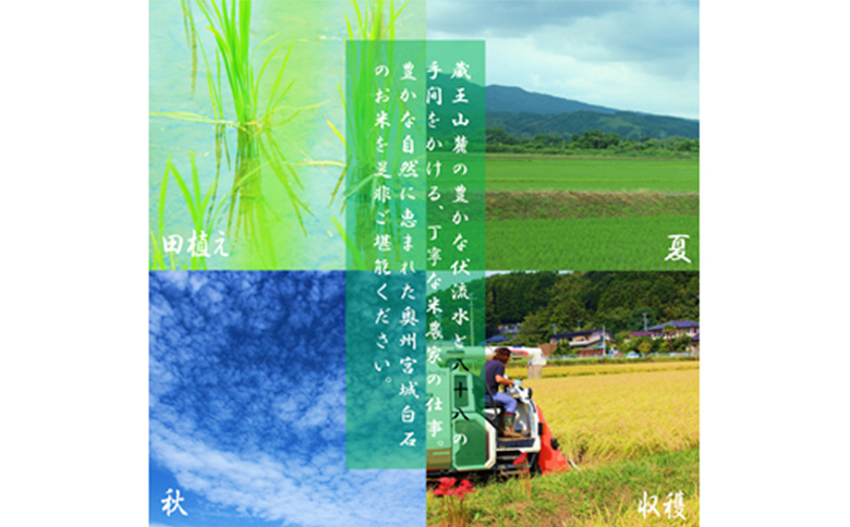 令和7年産　つや姫 玄米 5kg 宮城県白石市産【06171】 玄米(5kg)