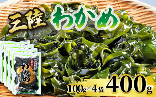 わかめ 400g ( 100g×4袋 )湯通し塩蔵わかめ 海鮮 海藻 魚貝類 魚介類 小分け みそ汁 スープ 酢の物 三陸産 岩手県 大船渡市