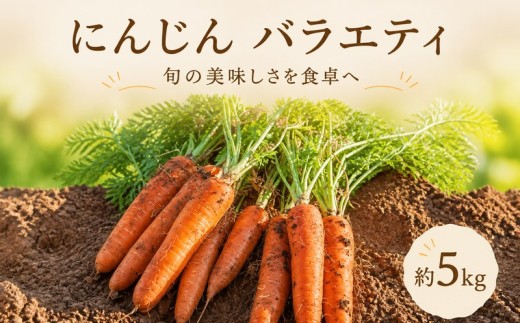 にんじん バラエティ 約5kg 品種 サイズ ミックス にんじん ニンジン 人参 5キロ にんじん キャロット 人参 ニンジン 野菜 ニンジン 人参 根菜 にんじん 料理 人参 ニンジン ジュース にんじん 人参 ニンジン 産地直送 にんじん 農家直送 にんじん ニンジン 人参 茨城 鉾田 五右衛門