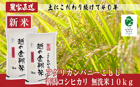 J8-7MC101【越の金翔米】新潟県長岡産コシヒカリ無洗米10kg【「小さな生き物たちと育むお米」認証品】