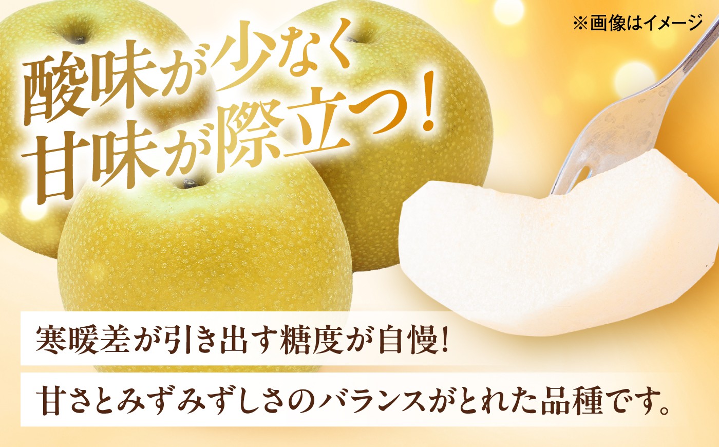 梨 なし ナシ 和梨 果物 フルーツ 国産 産地直送梨 ナシ なし 幸水 こうすい みずみずしい 甘い ジューシー 旬