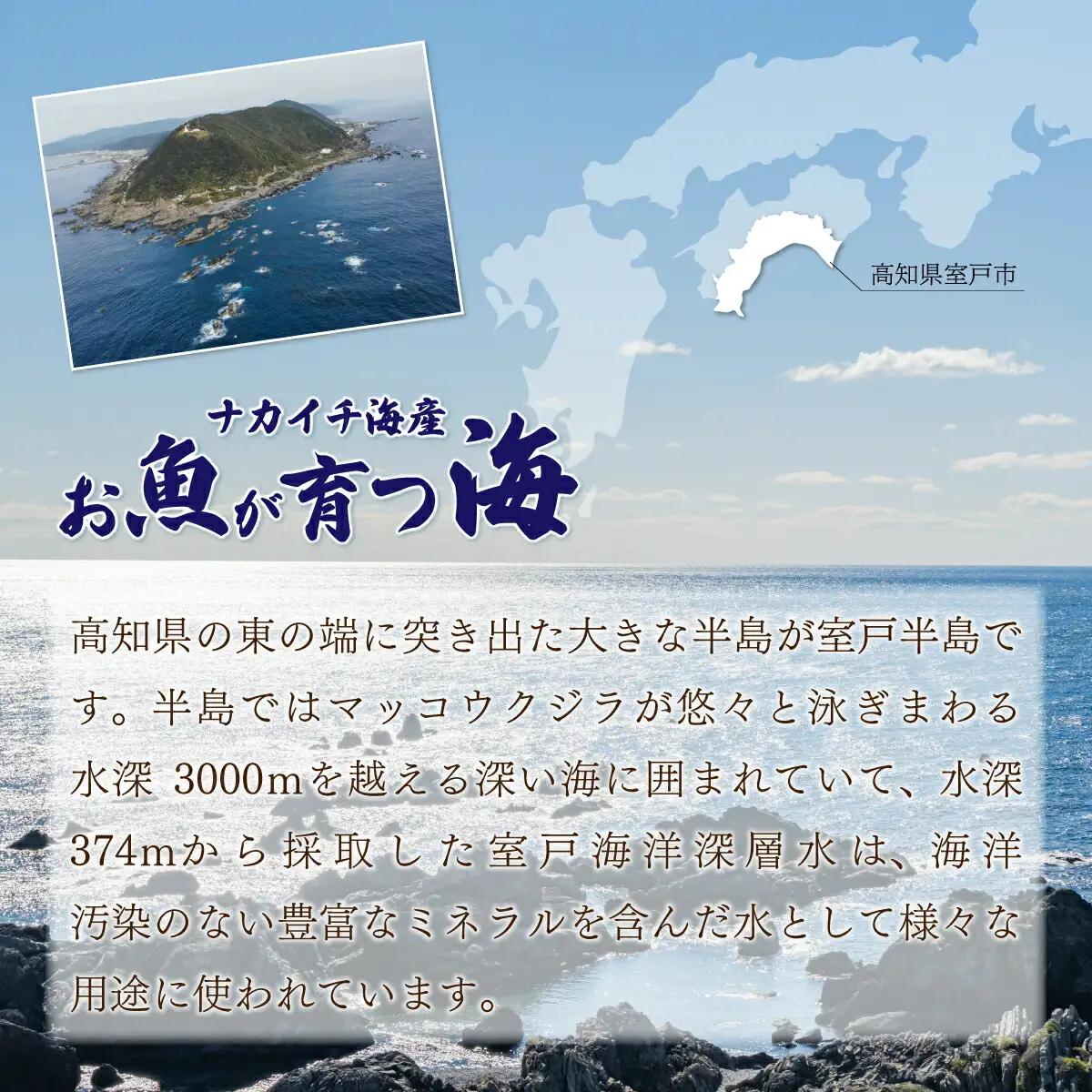 【アジの干物】ナカイチ海産 干物5から8枚セット
