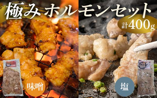 極みホルモンセット 合計400g(塩ホルモン 200g・味噌ホルモン 200g) EB8-0328