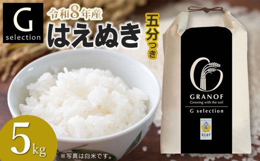 【令和8年産先行予約】 Gセレクション はえぬき 5kg(5kg×1) 【五分つき】山形県鶴岡市産　株式会社グラノフ