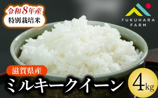 令和8年産 新米 ミルキークイーン 4kg ( 2kg ×2) 特別栽培米 米 精米 こめ コメ お米 ご飯 米 ミルキー クイーン 4キロ 令和8年 滋賀 彦根