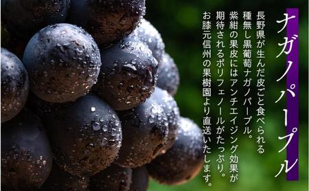 ぶどう ナガノパープル 粒パック 約1kg 皮ごと食べられる黒葡萄 葡萄 ぶどう ブドウ 長野 フルーツ 果物 信州産 長野県産 特産 産地直送 おすすめ デザート 