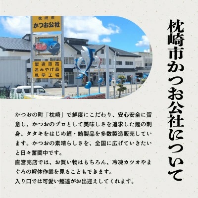 脂ののった戻り鰹&活き〆かつお(枕崎ぶえん鰹) 合計1Kg タレ付 A3-133 【1166319】 かつお 枕崎市 カツオ 鰹 戻り鰹 ぶえん鰹 小分け おつまみ 刺身 1本釣り 酒の肴 酒のおつま