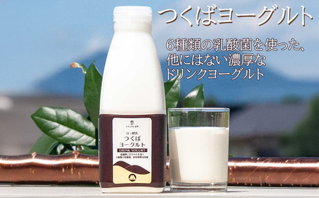 筑波ハム　つくばコレクション　かすみセット（つくばヨーグルト、クリームチーズ）【 チーズ ﾖｰｸﾞﾙﾄ クリームチーズ ﾖｰｸﾞﾙﾄ ドリンクヨーグルト ﾖｰｸﾞﾙﾄ 茨城県産 国産 ﾖｰｸﾞﾙﾄ つ