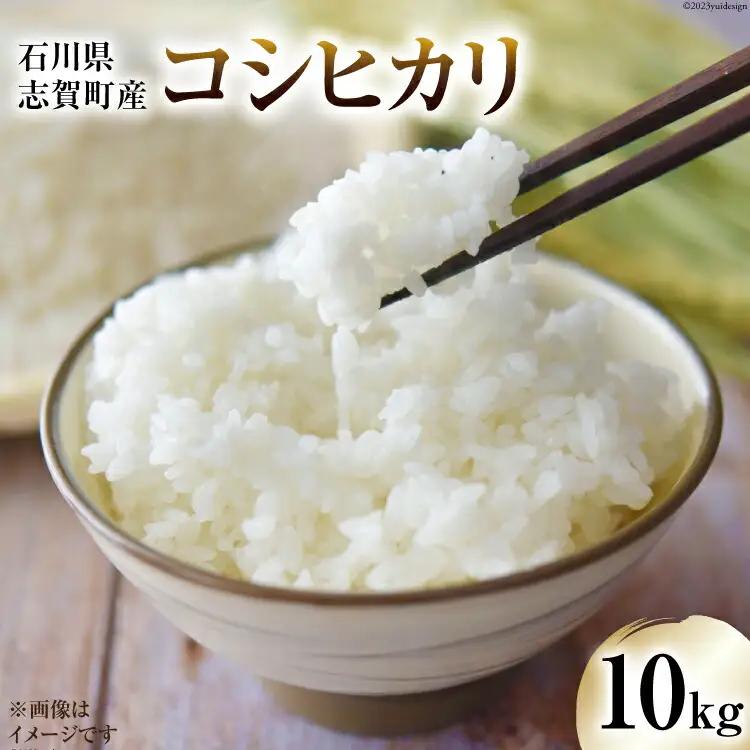 【令和8年産】米 コシヒカリ 10kg