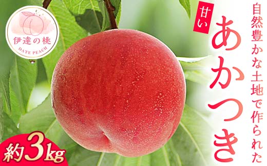 【2026年出荷分先行予約】福島県産 あかつき 約3kg 玉数はおまかせ はこざきフルーツ 伊達の桃 桃 フルーツ 果物 もも モモ momo F21C-423