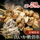 【ふるさと納税】宮城県産 真いか軟骨串（30～50本入り）バーベキュー BBQ イカ焼き 海鮮 宮城県 石巻市