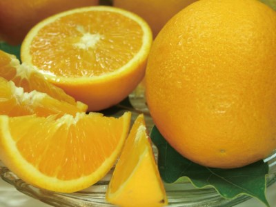 バレンシアオレンジ[約5kg]湯浅町田村産春みかん春かんきつ(無選別・果実サイズ混合)　※2026年6月中旬～7月下旬頃に順次発送【kstb491B】
