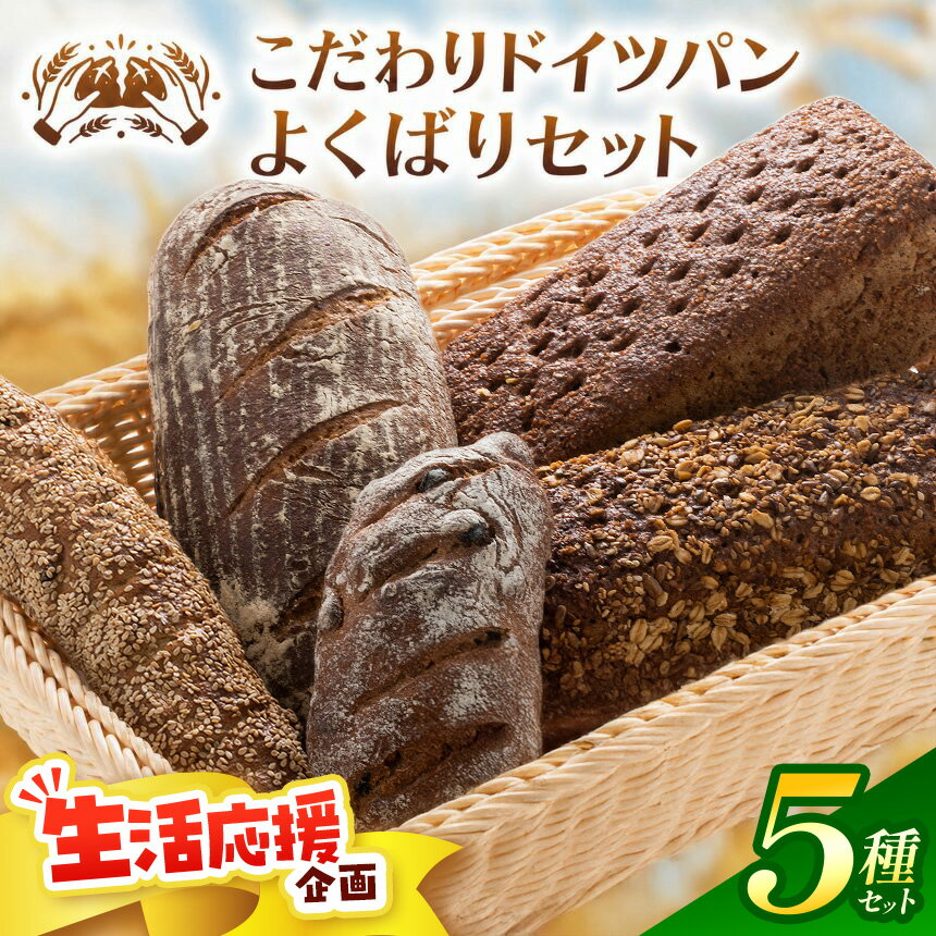 【ふるさと納税】自家製サワー種使用のこだわりドイツパンのよくばり5種セット | 高栄養 ミネラル 必須アミノ酸 低カロリー 本格的 静岡県 伊豆の国市
