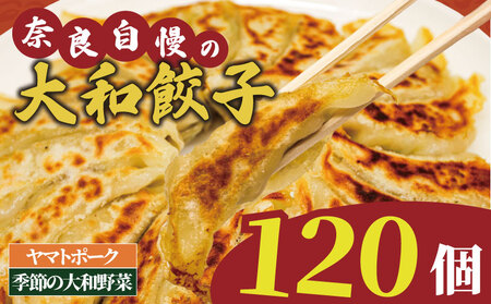 ヤマトポークの大和餃子 120個入り