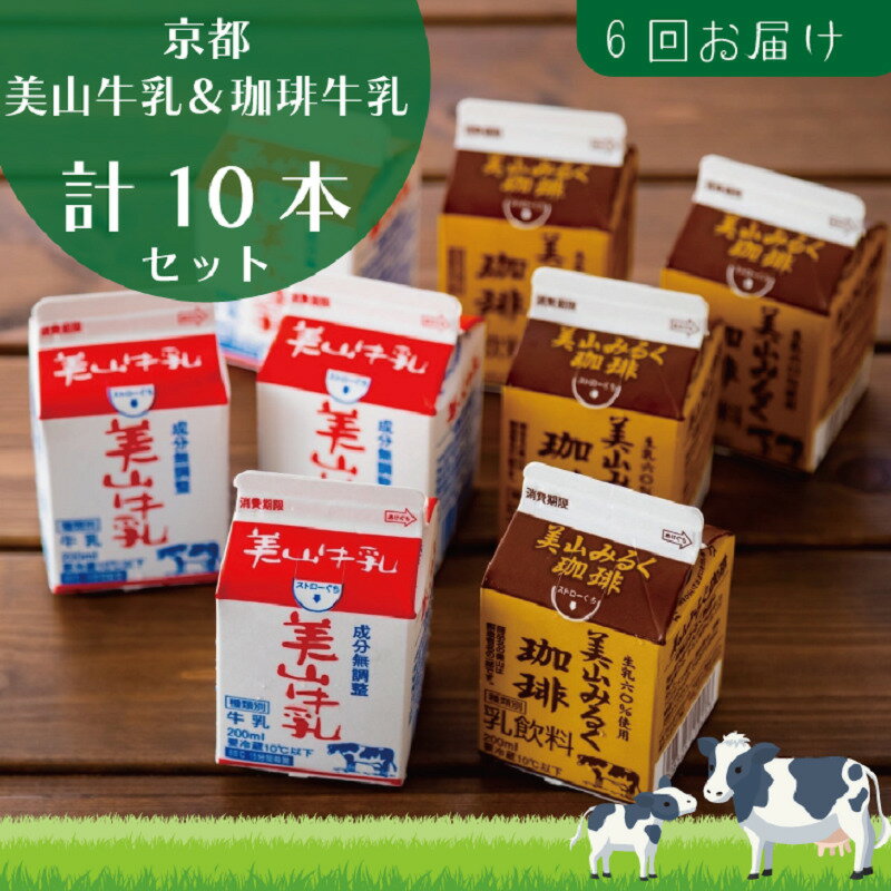 【ふるさと納税】牛乳 定期便 6ヶ月 京都 美山牛乳 200ml ×5本 珈琲牛乳 ×5本 詰め合わせ セット 美山町 お取り寄せ コーヒー牛乳 パック 紙パック 200mL 定期 お楽しみ 6回 ※北海道・沖縄・離島への発送不可　 南丹市
