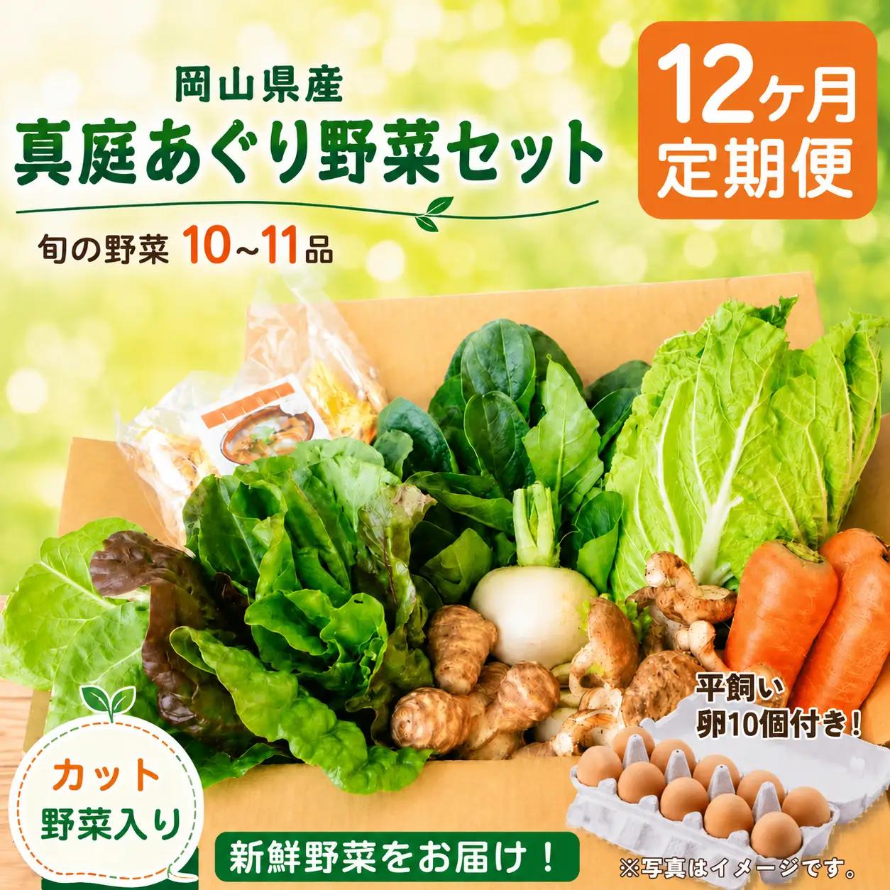 【12カ月定期便】真庭あぐり野菜セット カット野菜が1品入る 10～11品 平飼い卵付き / 産地直送 農家 お試し 岡山県 新鮮 あぐりガーデン 国産 【配送不可地域：北海道／沖縄県／離島】 【ju