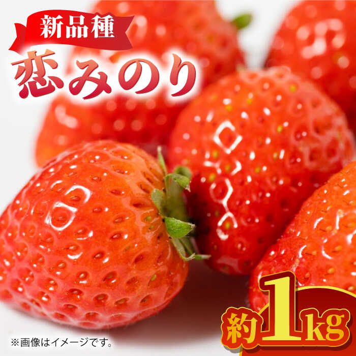 【ふるさと納税】【先行予約】恋みのり 約1kg【くまふる】苺 いちご イチゴ こいみのり 人気 フルーツ 果物 山鹿市 送料無料 [ZBG062]